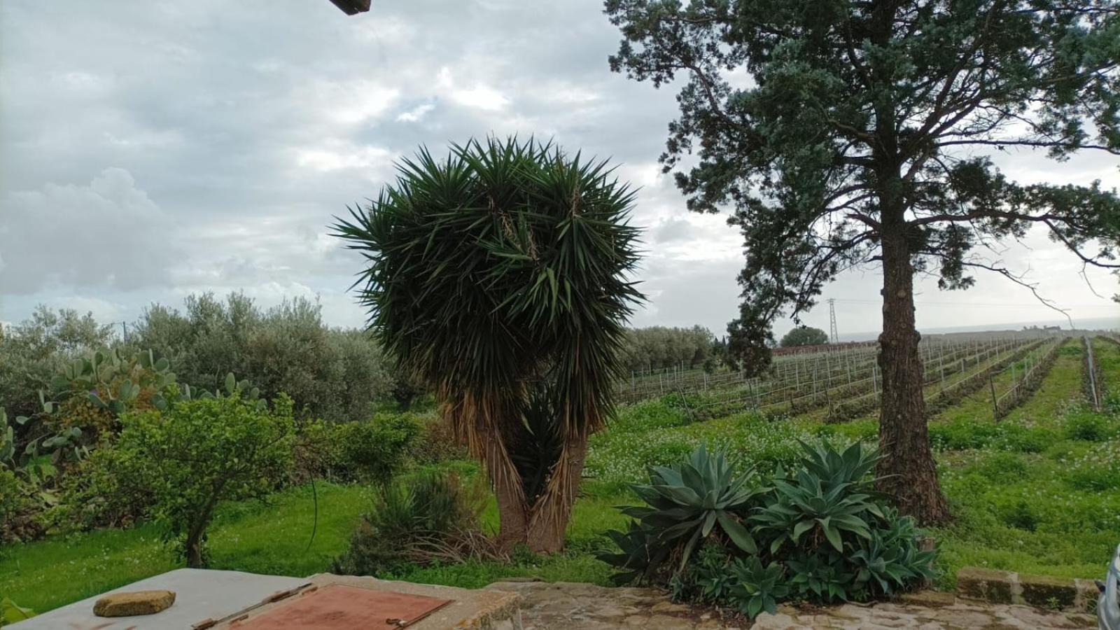 Casa Bouganville Villetta Tra Le Vigne E Il Mare Menfi Esterno foto