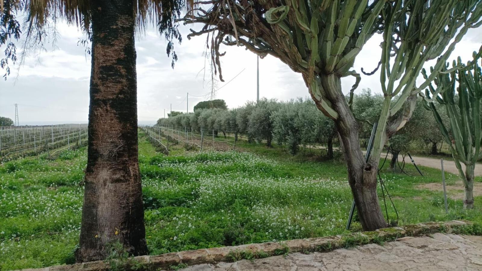 Casa Bouganville Villetta Tra Le Vigne E Il Mare Menfi Esterno foto