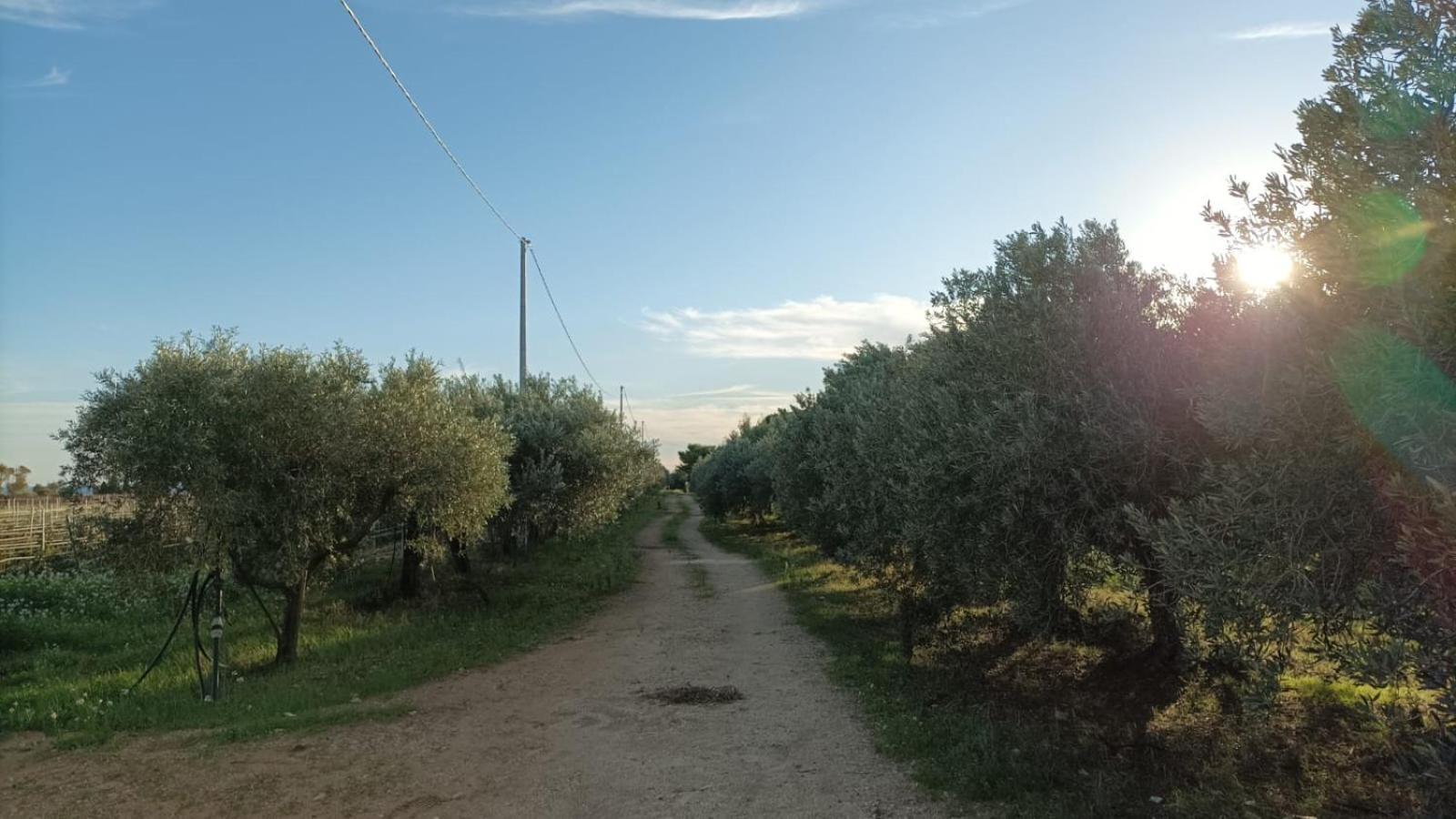 Casa Bouganville Villetta Tra Le Vigne E Il Mare Menfi Esterno foto